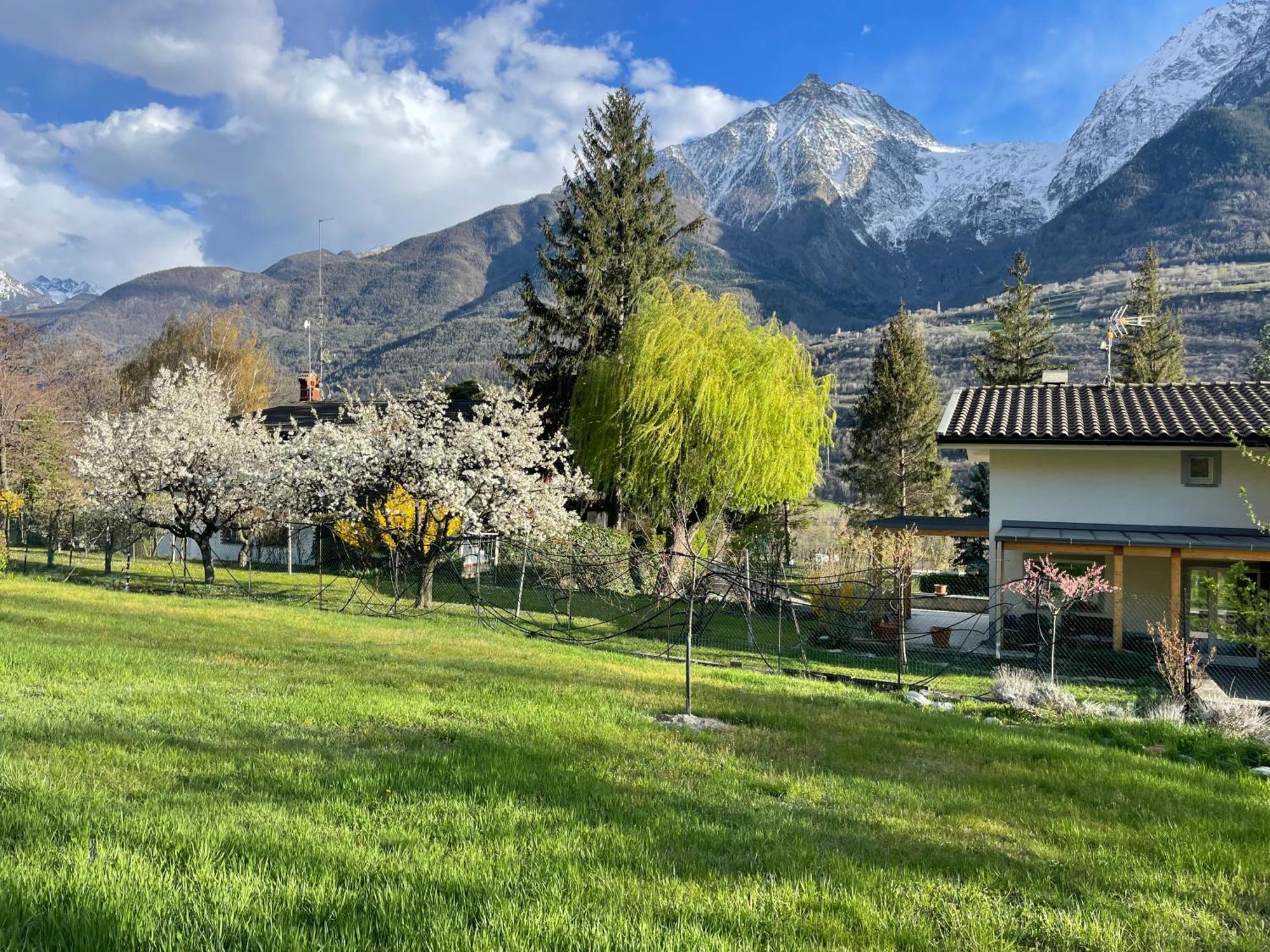 Апартаменты La Casina Di Oscar Ad Ao V Combe Vda Quart 0014 E 00I6 Экстерьер фото