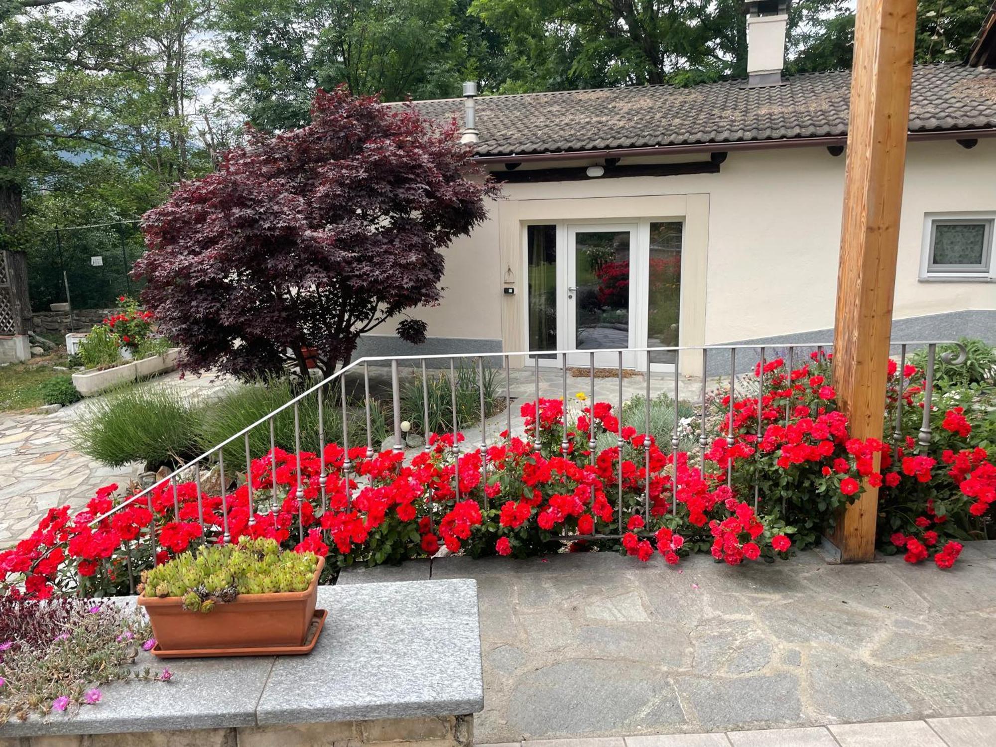 Апартаменты La Casina Di Oscar Ad Ao V Combe Vda Quart 0014 E 00I6 Экстерьер фото